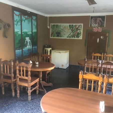 Tara Guesthouse - Sauraha,Chitwan エクステリア 写真