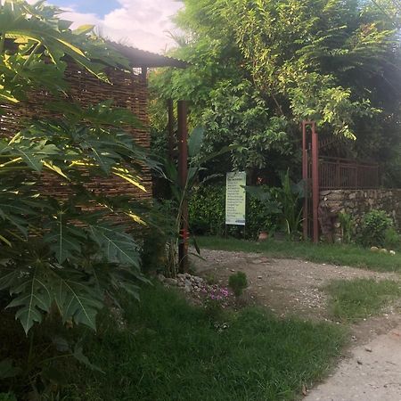 Tara Guesthouse - Sauraha,Chitwan エクステリア 写真
