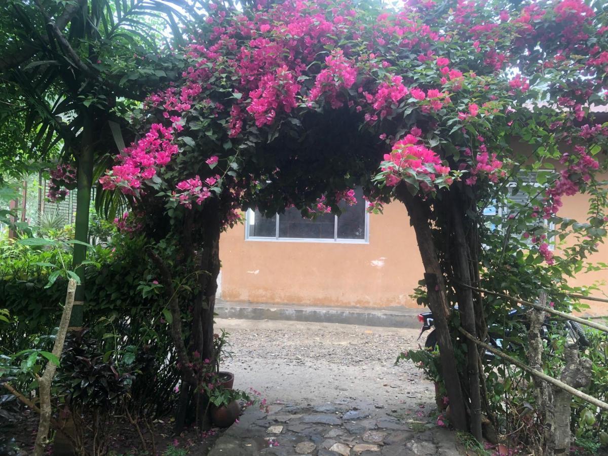Tara Guesthouse - Sauraha,Chitwan エクステリア 写真
