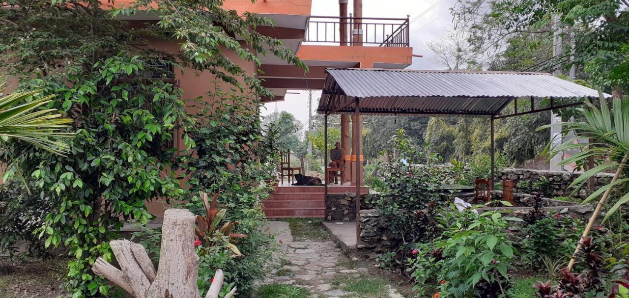 Tara Guesthouse - Sauraha,Chitwan エクステリア 写真
