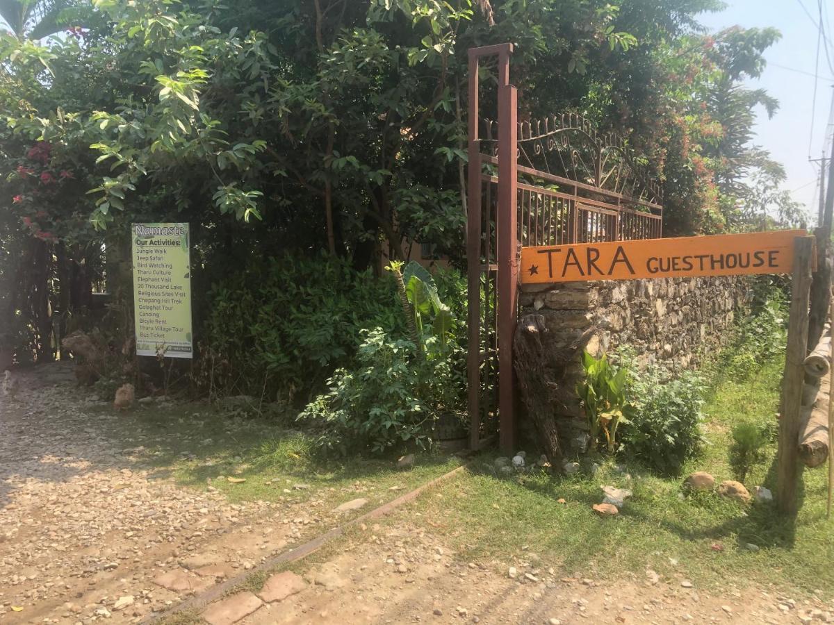 Tara Guesthouse - Sauraha,Chitwan エクステリア 写真