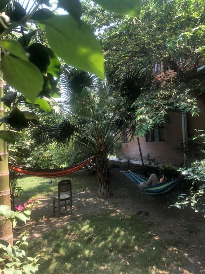 Tara Guesthouse - Sauraha,Chitwan エクステリア 写真