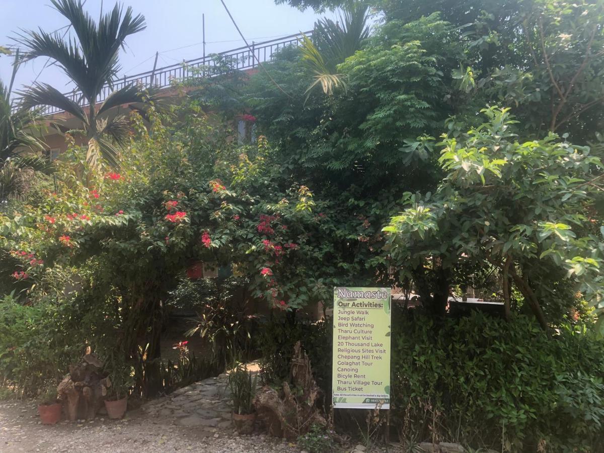 Tara Guesthouse - Sauraha,Chitwan エクステリア 写真