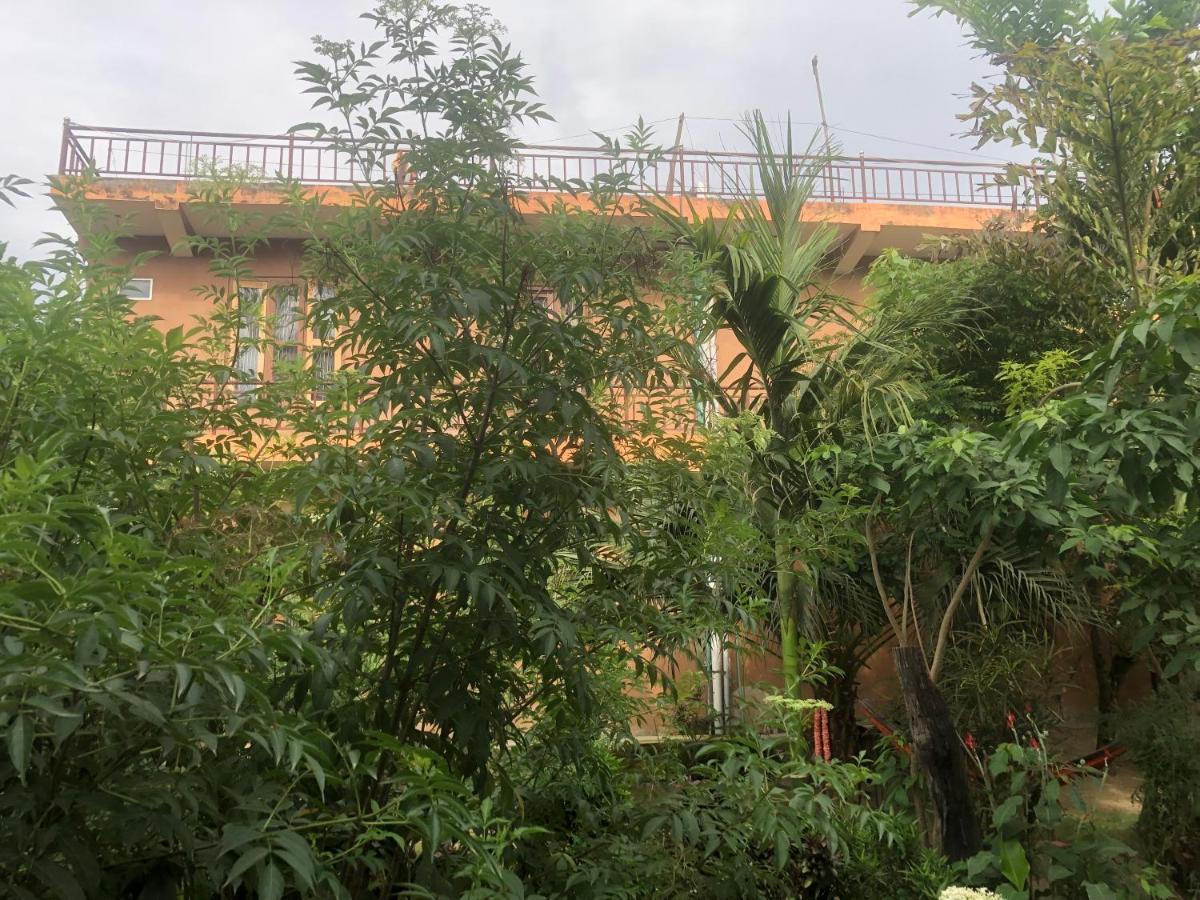 Tara Guesthouse - Sauraha,Chitwan エクステリア 写真