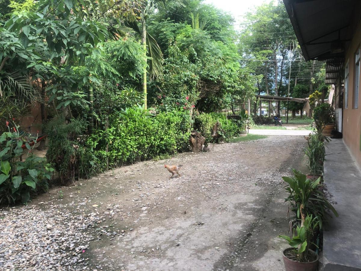 Tara Guesthouse - Sauraha,Chitwan エクステリア 写真