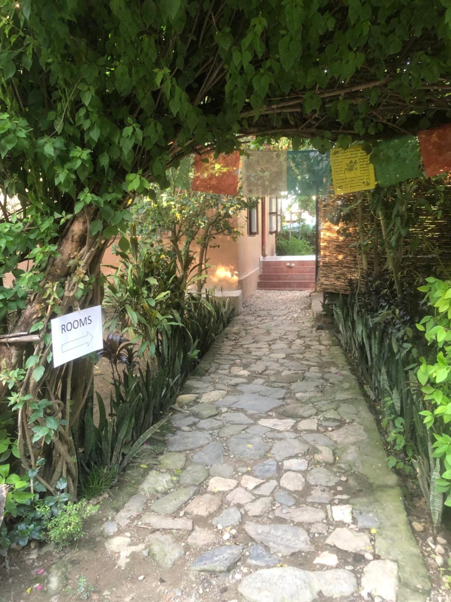 Tara Guesthouse - Sauraha,Chitwan エクステリア 写真