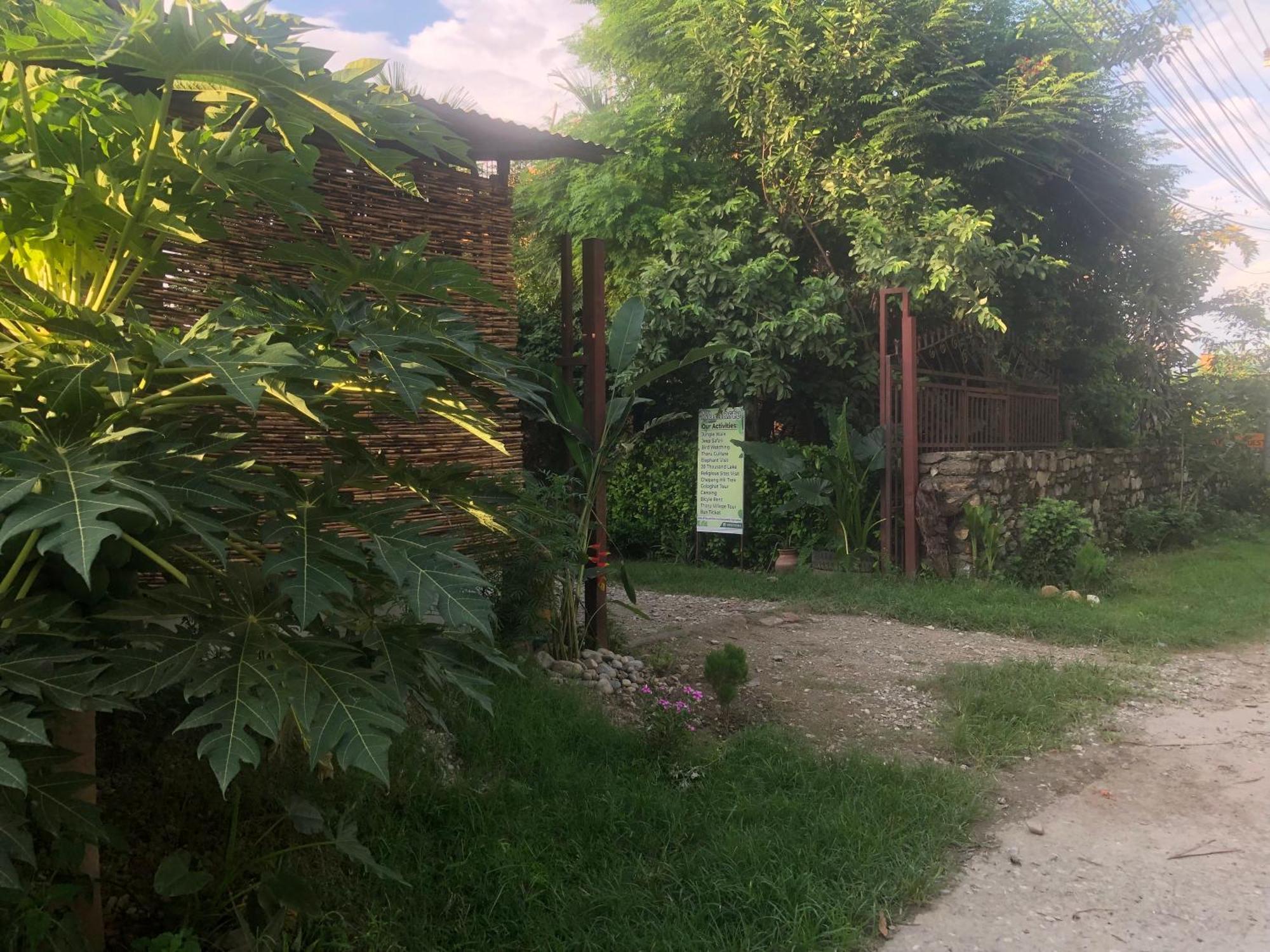 Tara Guesthouse - Sauraha,Chitwan エクステリア 写真