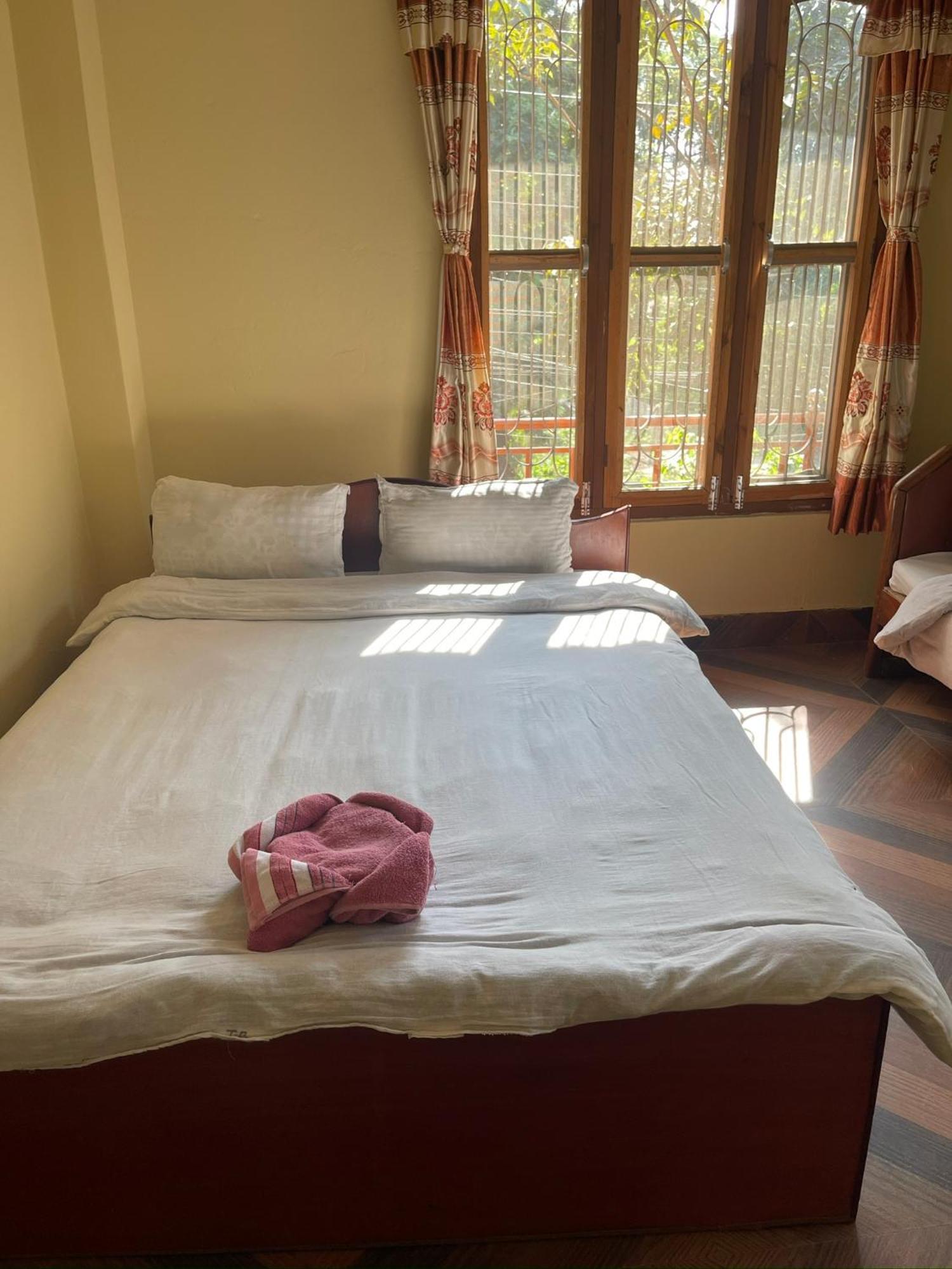 Tara Guesthouse - Sauraha,Chitwan エクステリア 写真