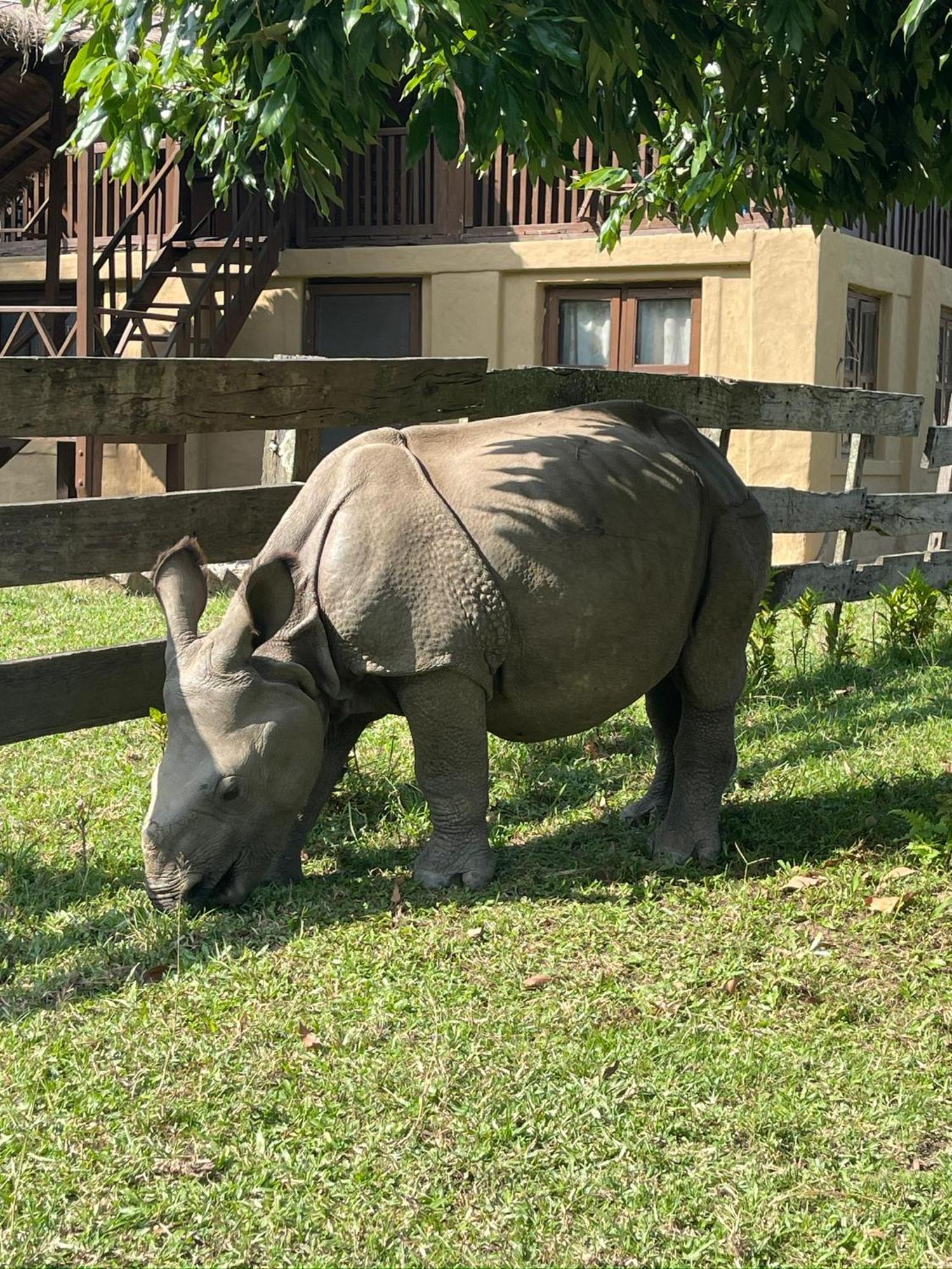 Tara Guesthouse - Sauraha,Chitwan エクステリア 写真
